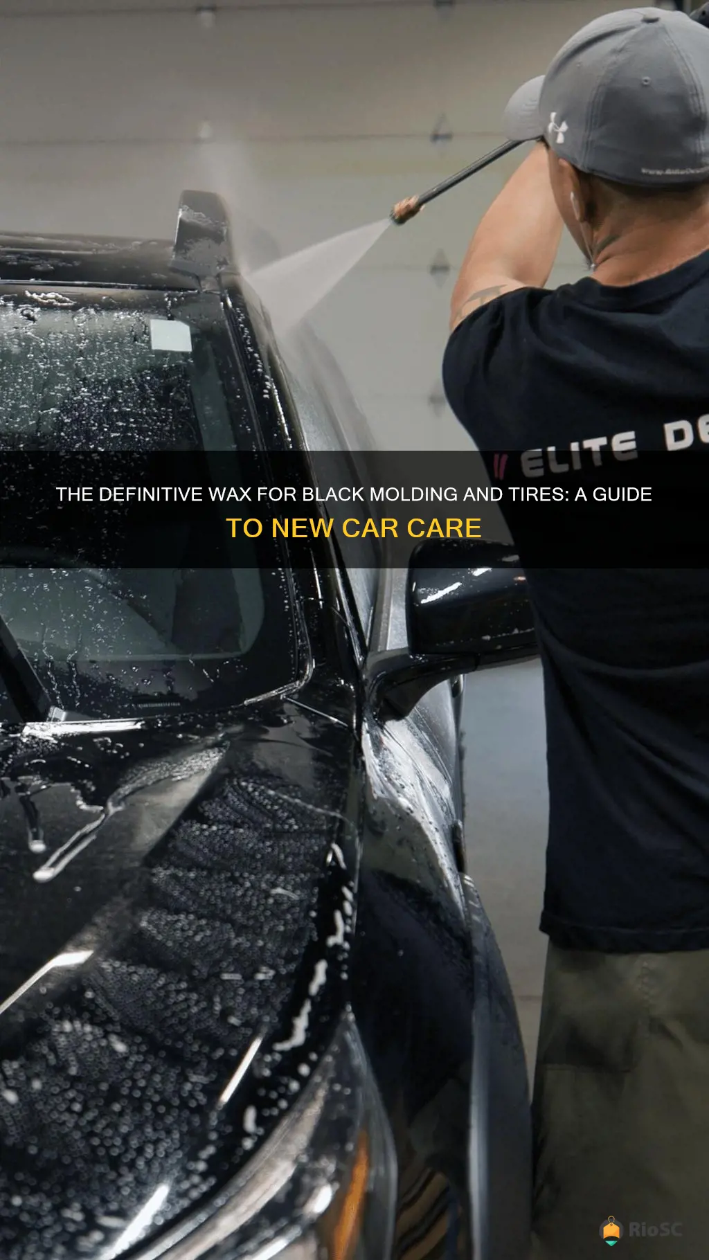 best wax for black molding and tires on new cars
