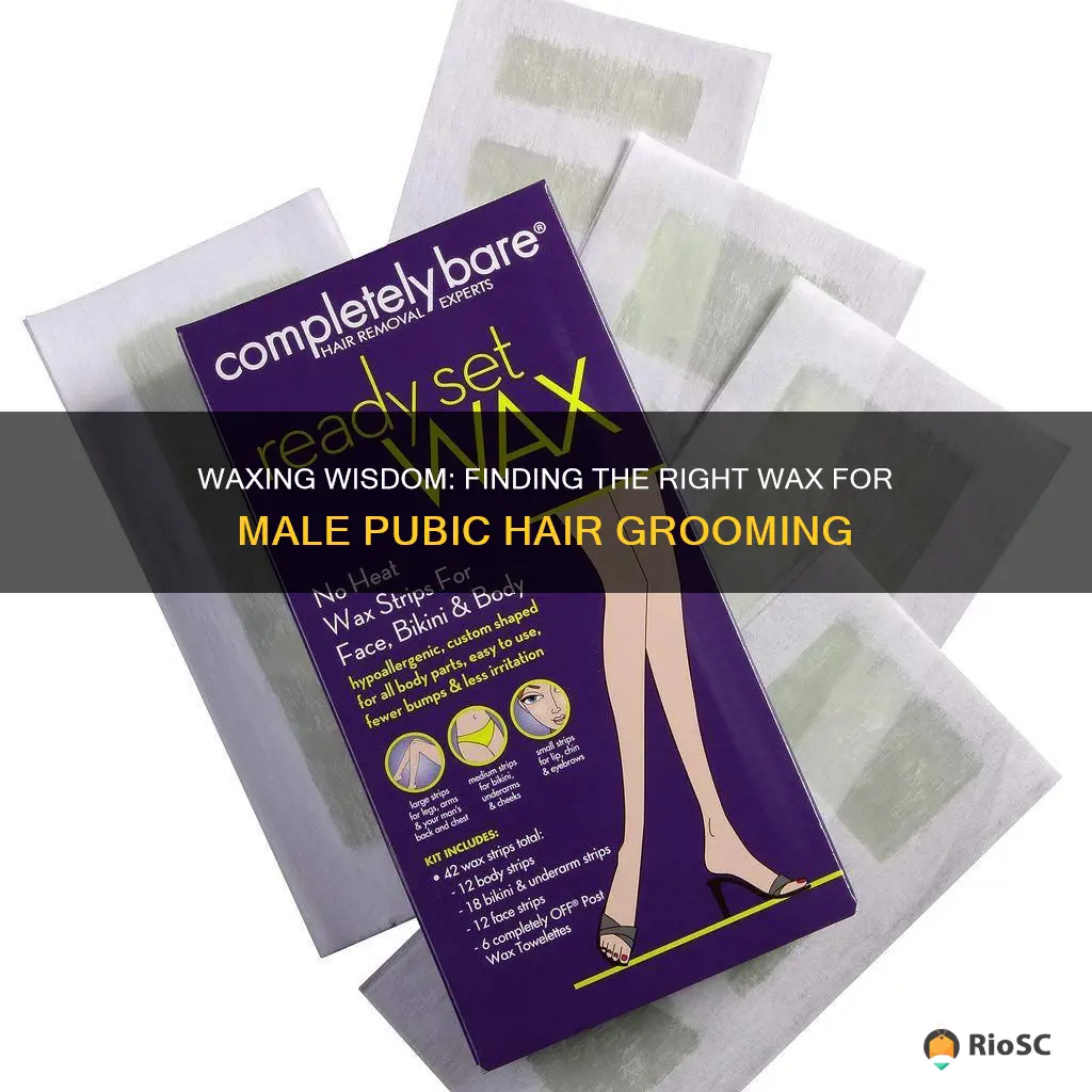 best wax for male pubic hair