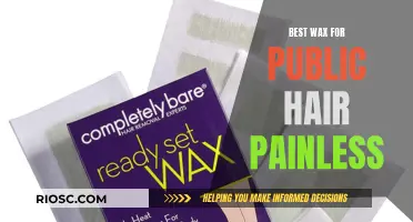 Waxing Painless: Finding the Best Wax for Public Hair Removal