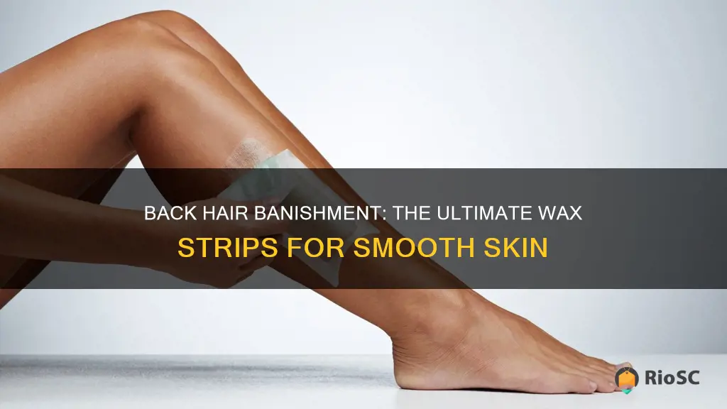 best wax strips for back hair