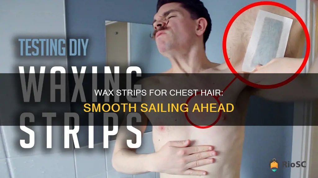 best wax strips for chest hair