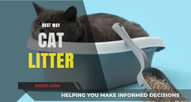 Purr-fectly Clean: Discover the Best Way to Choose and Use Cat Litter