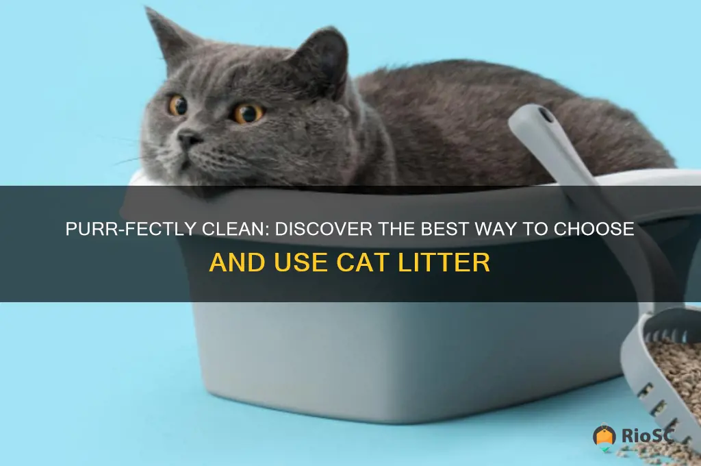 best way cat litter
