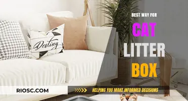 Purr-fect Solutions: The Ultimate Guide to Choosing and Maintaining Your Cat’s Litter Box