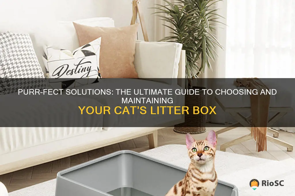 best way for cat litter box