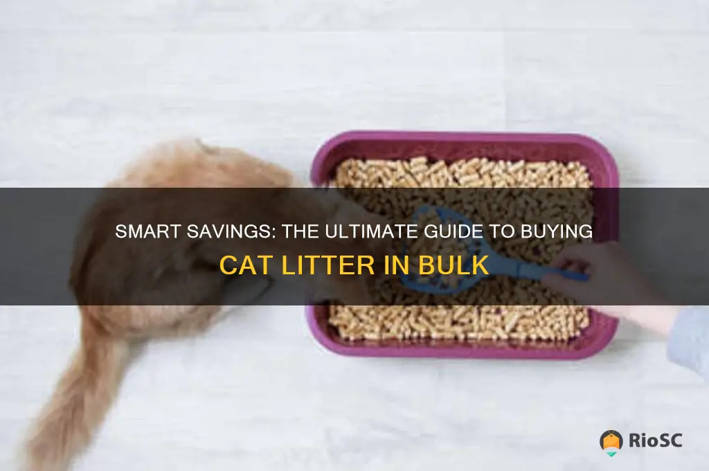 best way to buy cat litter in bulk