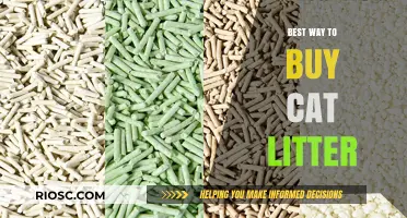 Smart Shopping Tips: How to Choose and Buy the Best Cat Litter for Your Feline Friend