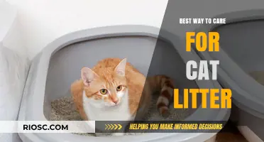 Purr-fectly Clean: The Ultimate Guide to Caring for Your Cat’s Litter Box