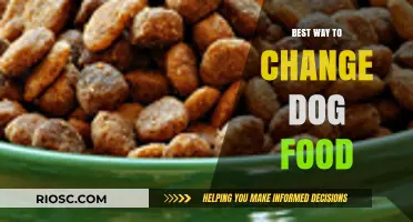 Seamless Transitions: A Guide to Safely Switching Your Dog's Diet