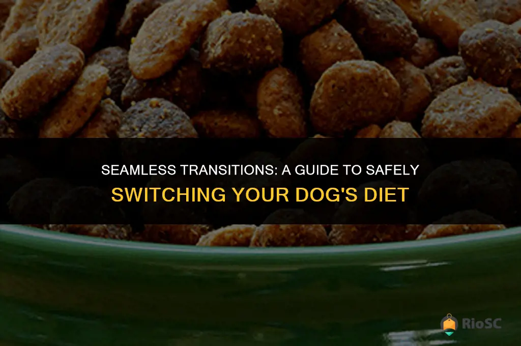 best way to change dog food