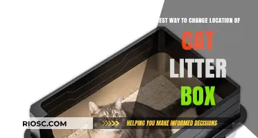 Strategic Moves: How to Successfully Relocate Your Cat’s Litter Box Without Stress