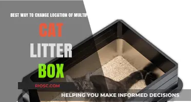 Effective Strategies for Relocating Multiple Cat Litter Boxes Without Stress