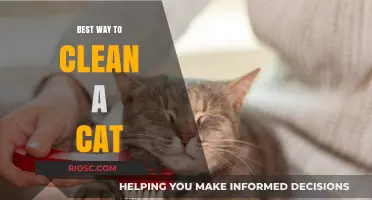 Purr-fectly Clean: A Comprehensive Guide to Grooming Your Feline Friend