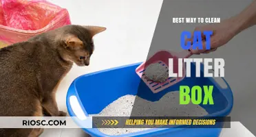 Efficient and Hygienic: The Ultimate Guide to Cleaning Your Cat’s Litter Box