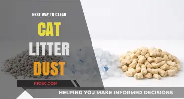 Effective Strategies to Eliminate Cat Litter Dust and Keep Your Home Clean