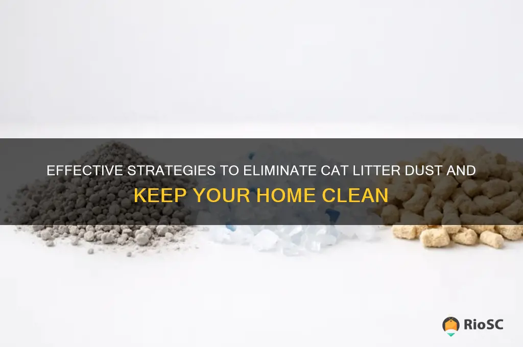 best way to clean cat litter dust