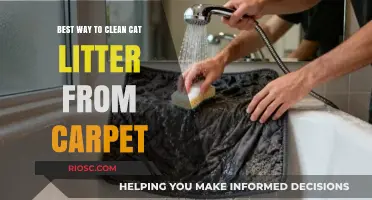 Effective Techniques for Removing Cat Litter from Carpet: A Step-by-Step Guide