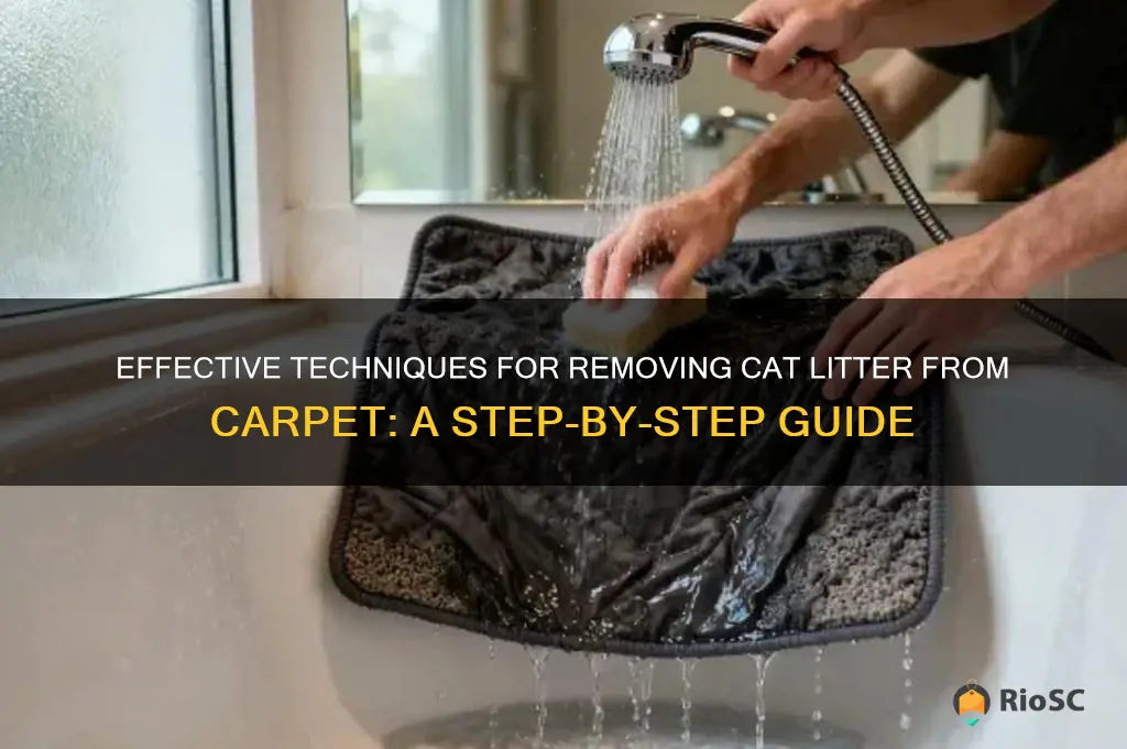 best way to clean cat litter from carpet