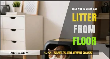 Effective Techniques for Removing Cat Litter from Your Floor: A Step-by-Step Guide