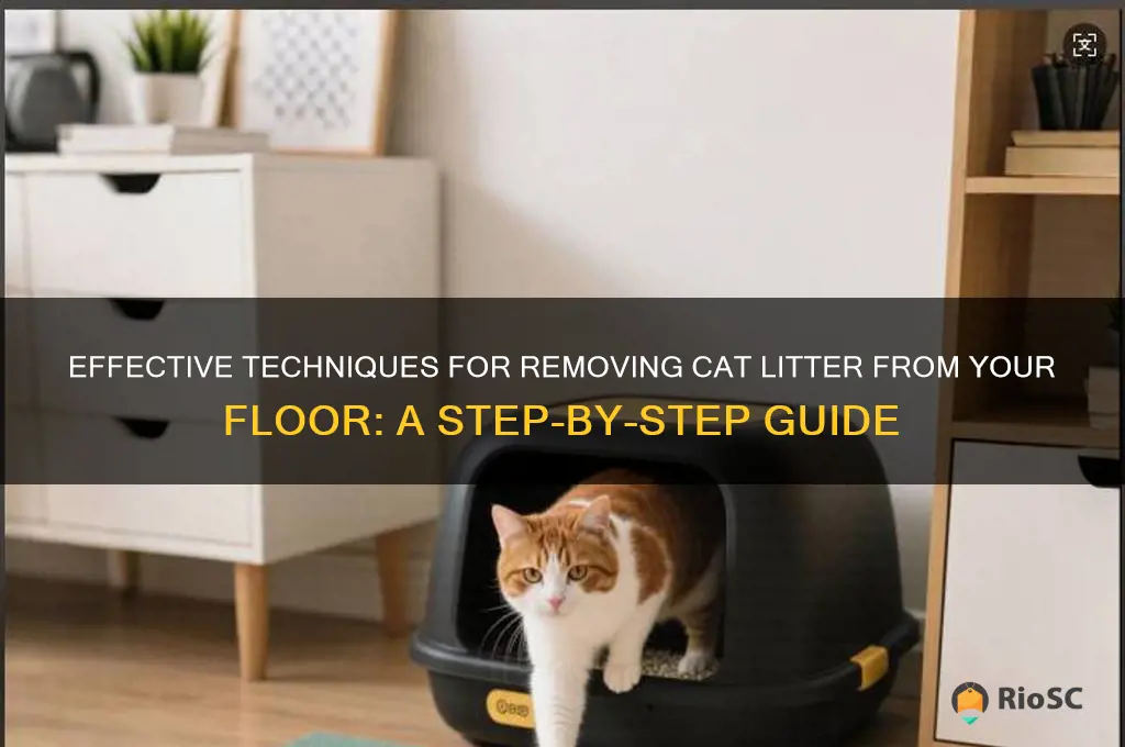 best way to clean cat litter from floor