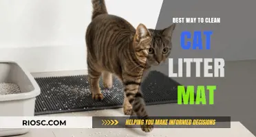 Effective Techniques for Cleaning Your Cat Litter Mat: A Step-by-Step Guide