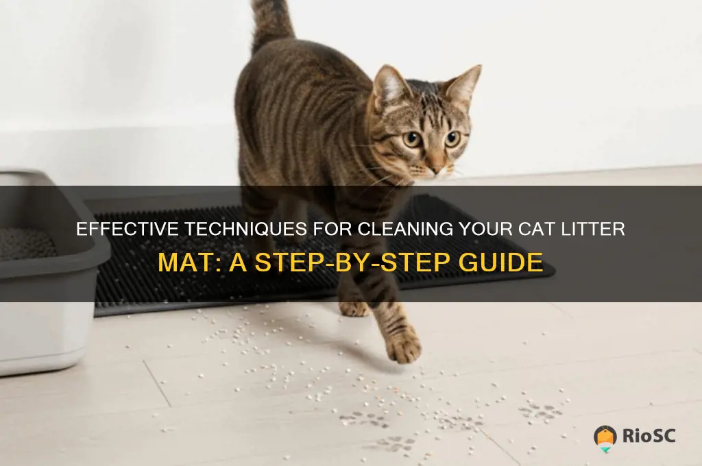 best way to clean cat litter mat