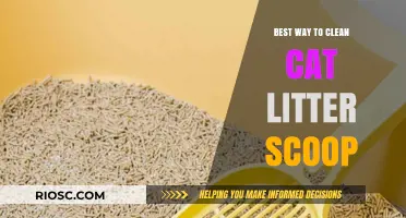 Effective Techniques for Cleaning Your Cat Litter Scoop: A Step-by-Step Guide