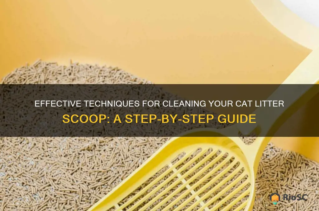 best way to clean cat litter scoop
