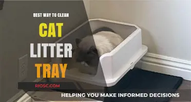 Efficient and Hygienic: The Ultimate Guide to Cleaning Your Cat’s Litter Tray