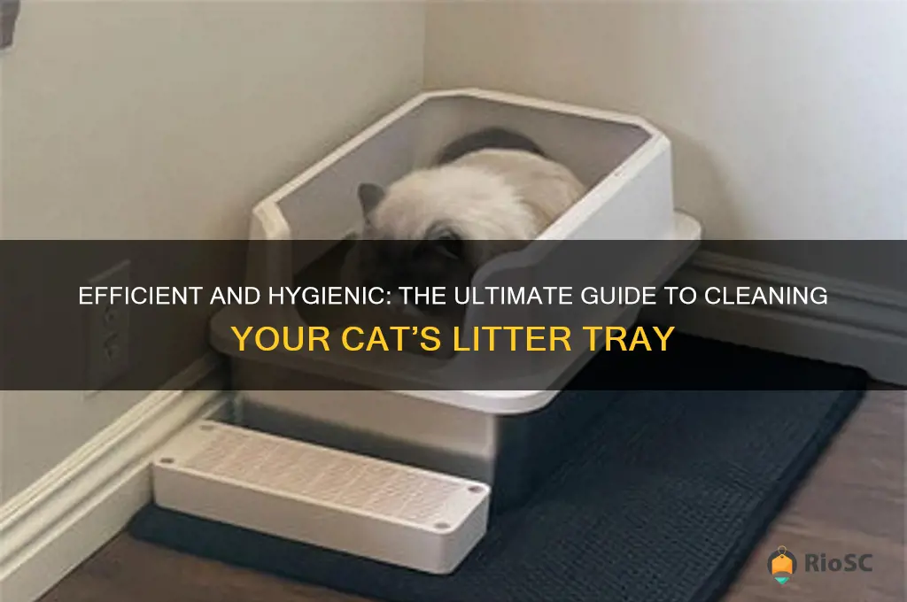 best way to clean cat litter tray