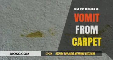 Efficiently Removing Cat Vomit Stains from Your Carpet: A Step-by-Step Guide