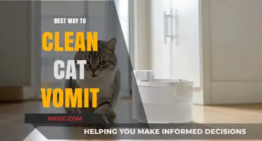 Efficiently Cleaning Cat Vomit: A Step-by-Step Guide for Pet Owners