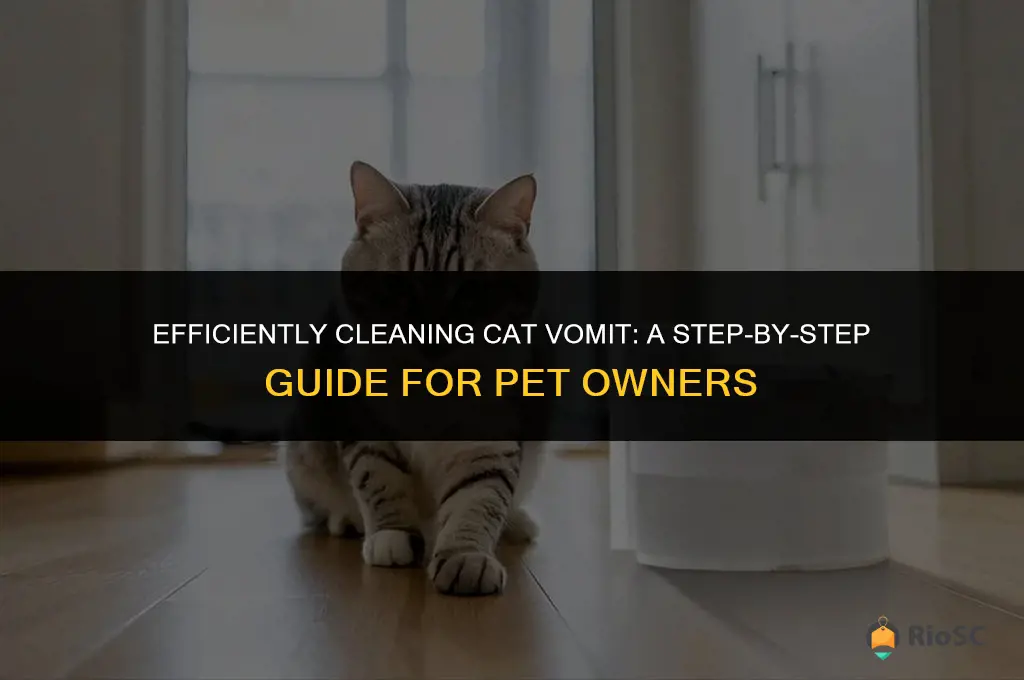 best way to clean cat vomit