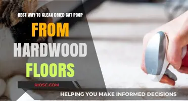 Effortless Cleaning: Removing Dried Cat Poop from Hardwood Floors