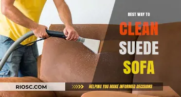 Effective Techniques for Cleaning and Maintaining Your Suede Sofa