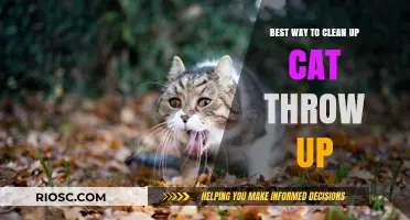 Effective Tips for Cleaning Up Cat Vomits: A Comprehensive Guide