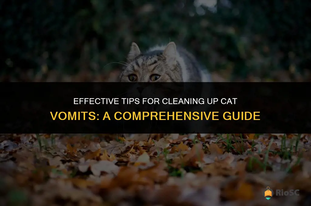best way to clean up cat throw up