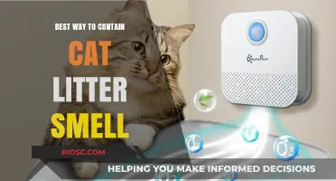 Effective Strategies to Eliminate Cat Litter Odor and Keep Your Home Fresh