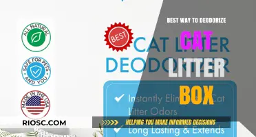 Effective and Natural Methods to Deodorize Your Cat Litter Box