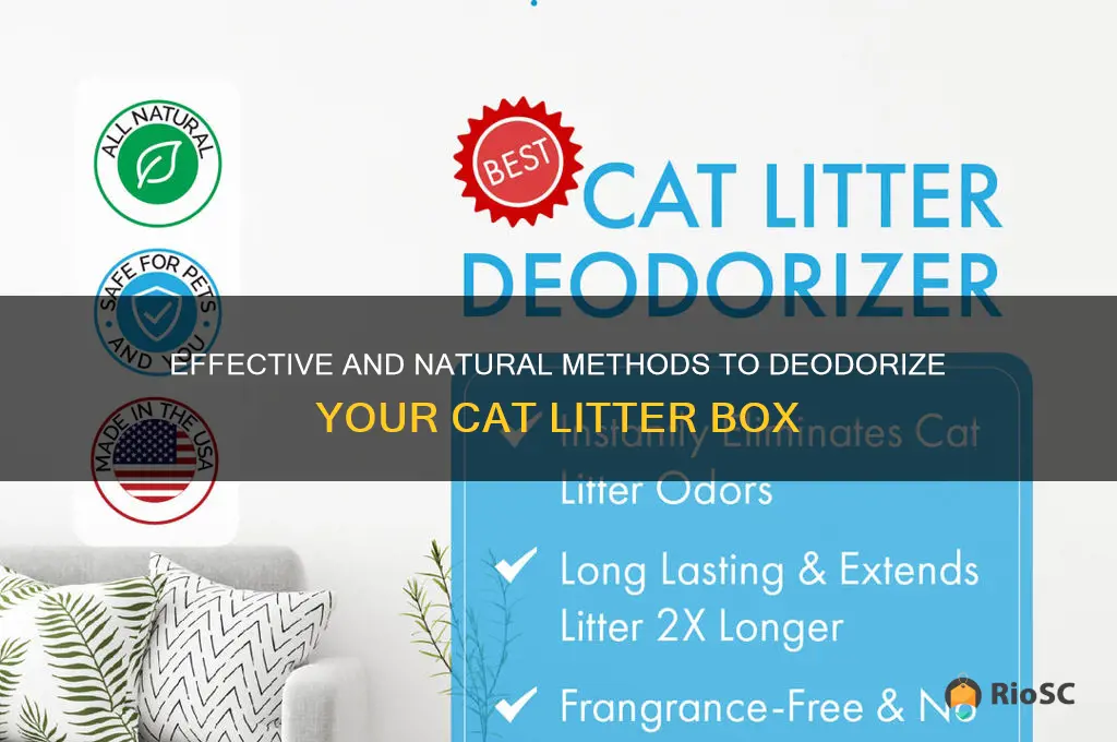 best way to deodorize cat litter box