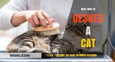 Purr-fectly Clean: The Ultimate Guide to Deshedding Your Feline Friend