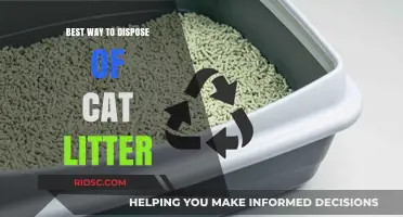 Eco-Friendly and Effective: The Ultimate Guide to Disposing of Cat Litter Safely