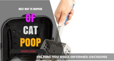 Purr-fectly Sanitary: The Ultimate Guide to Disposing of Cat Poop