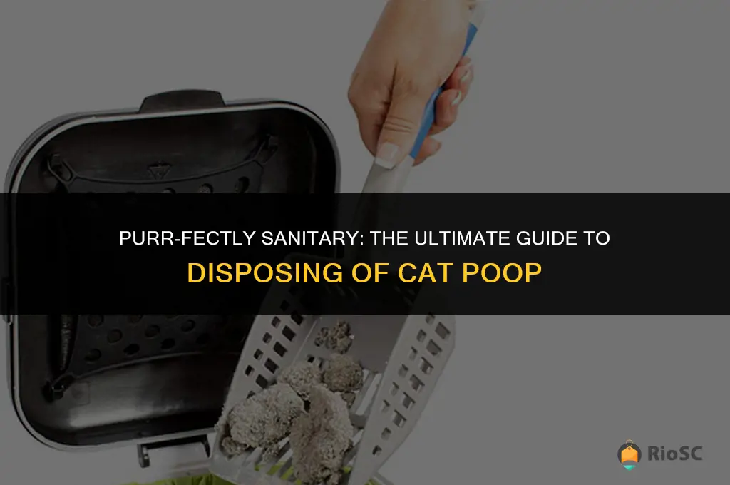 best way to dispose of cat poop