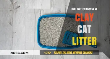 Eco-Friendly Solutions: The Best Way to Dispose of Clay Cat Litter