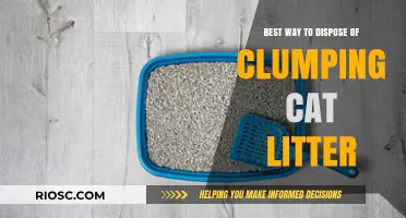 Eco-Friendly and Effective: The Best Methods for Disposing of Clumping Cat Litter