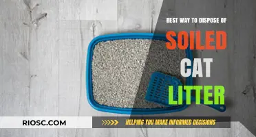 Eco-Friendly and Safe Methods for Disposing of Soiled Cat Litter
