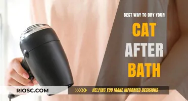 Purr-fectly Dry: The Ultimate Guide to Drying Your Cat After a Bath