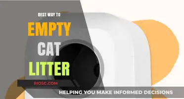 Efficient and Mess-Free: The Ultimate Guide to Emptying Your Cat Litter Box