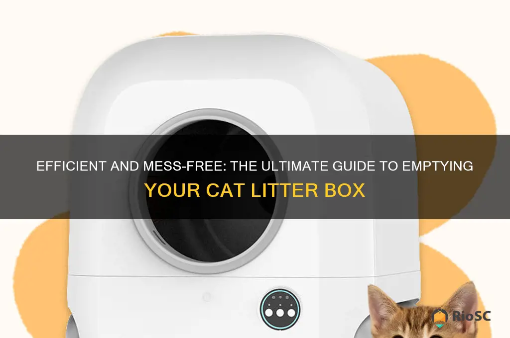 best way to empty cat litter